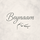 Beynaam Writes